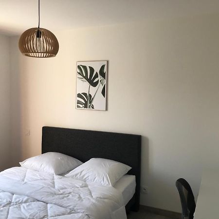 Maison 8 Personnes Biscarrosse Bourg エクステリア 写真