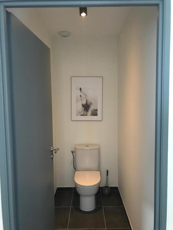 Maison 8 Personnes Biscarrosse Bourg エクステリア 写真