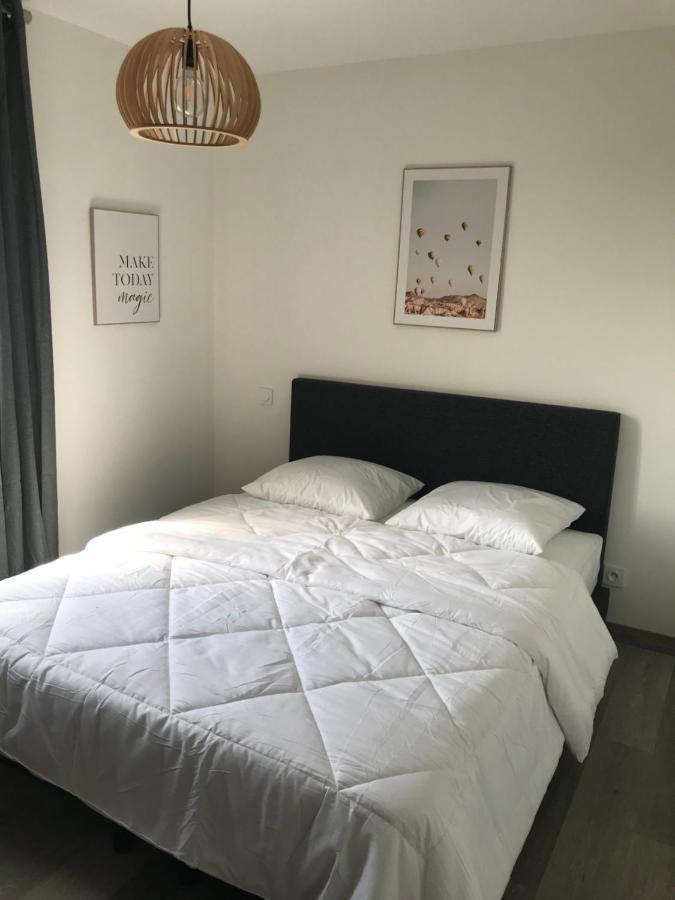 Maison 8 Personnes Biscarrosse Bourg エクステリア 写真